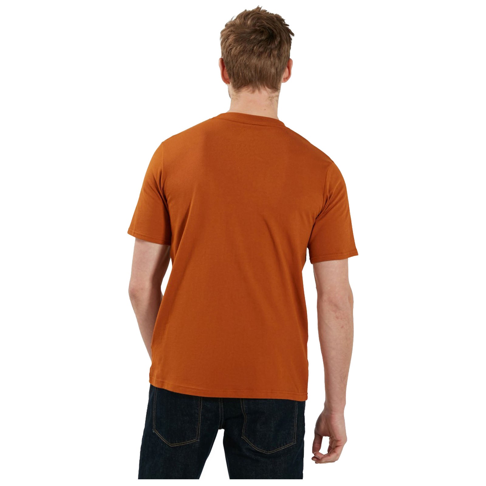 Berghaus Mens Organic Big Colour Logo T-Shirt