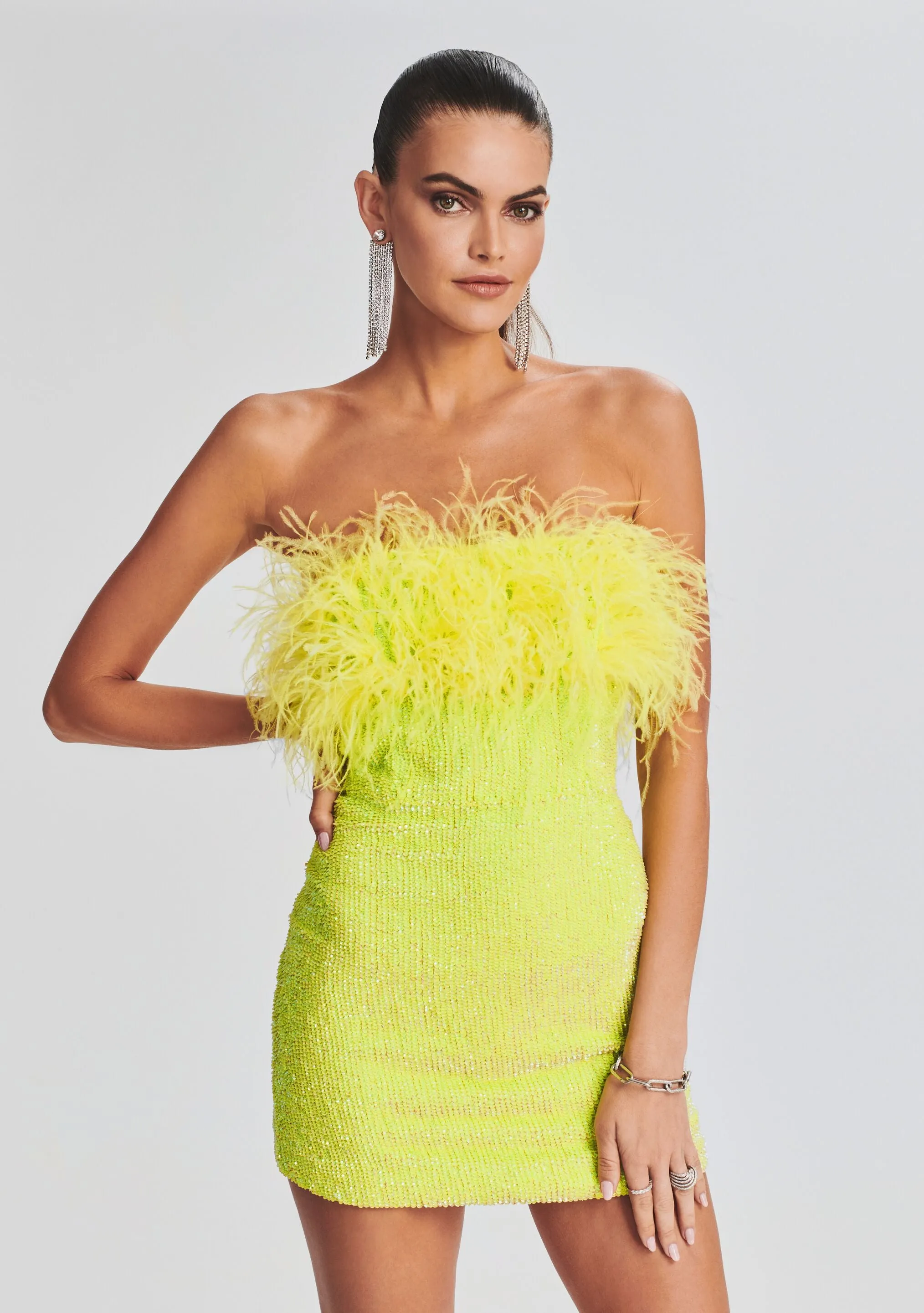 Torin Sequin Feather Dress